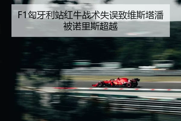 xiong-ya-li-zhan-hong-niu-zhan-shu-shi-wu-zhi-wei-si-ta-pan-bei-nuo-li-si-chao-yue-2-757.jpg