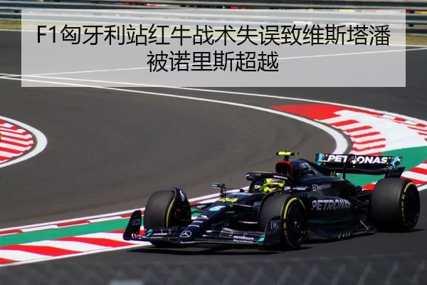 F1匈牙利站红牛战术失误致维斯塔潘被诺里斯超越